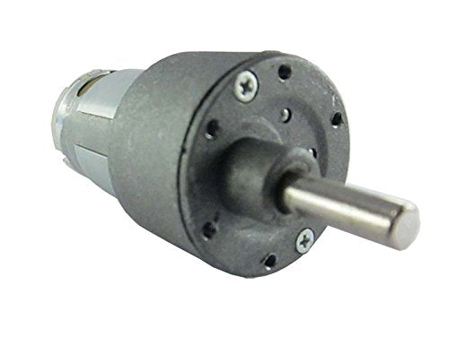 100RPM 12V DC Motor