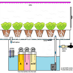 Hydroponic Farming System Basic Module Project