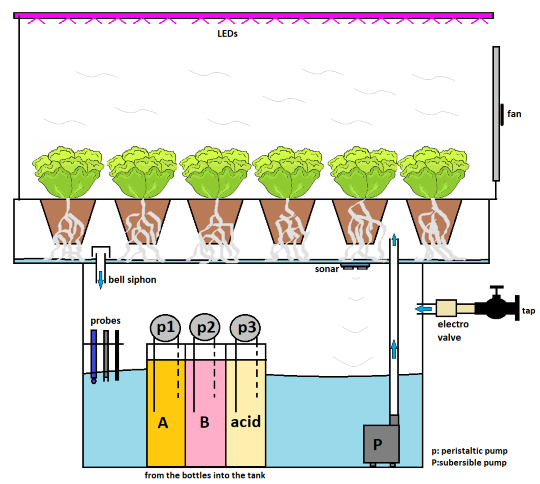 Hydroponic Farming System Basic Module Project