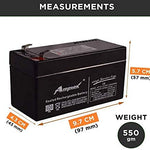 Amptek 12 Volt 1.3 Amp Rechargeable Battery