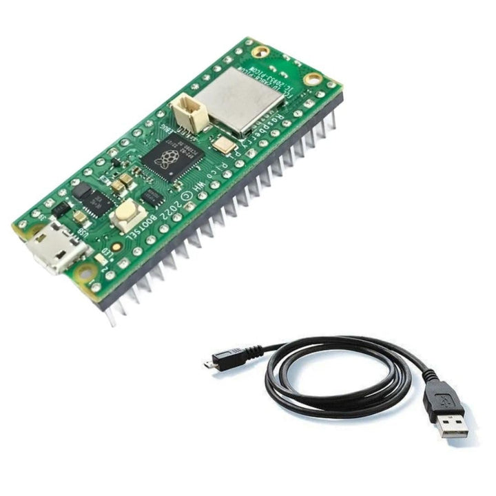 Raspberry Pi Pico W Without Wi-fi