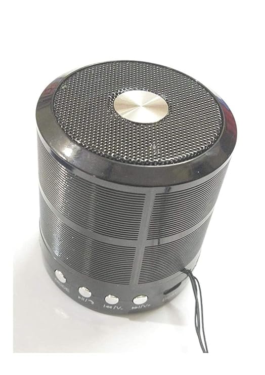 Mini Bluetooth Speaker Wireless WS-887