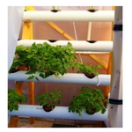 Hydroponic Farming System Project- Advanced Module