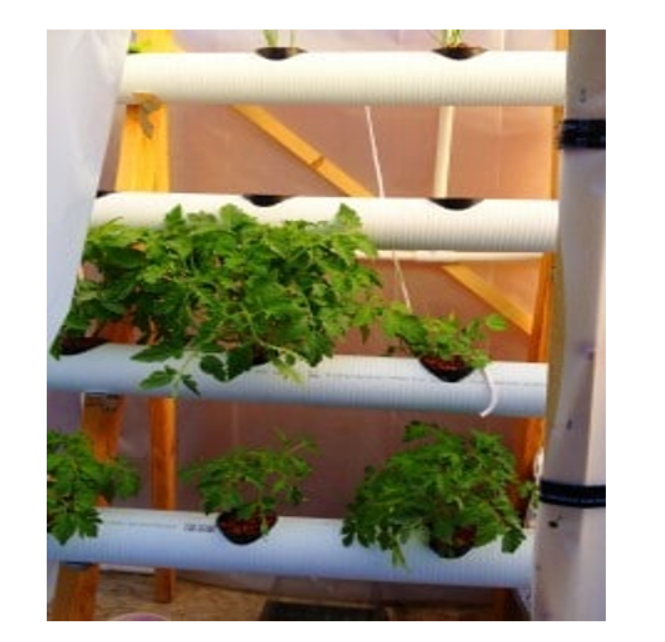 Hydroponic Farming System Project- Advanced Module
