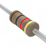 1 ohm 1/2 watt Resistors (10 pcs)